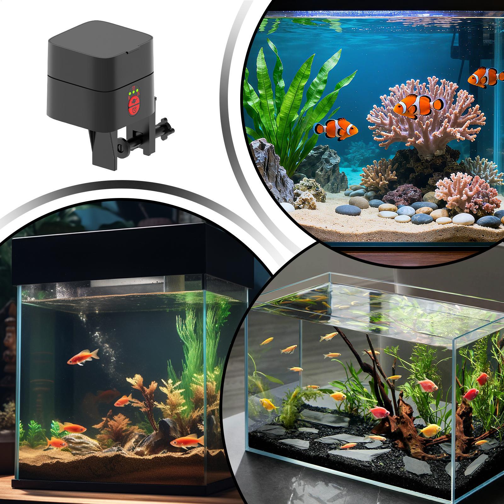 Alimentador automático de pece - Fishing Line Dispenser reseña y precio